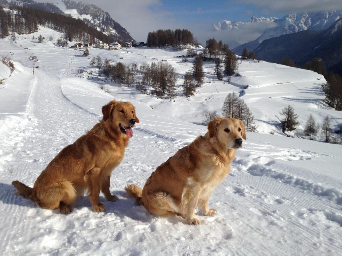 Appartamento Engadin Holidays Ch - Chasa 32 In Guarda Esterno foto