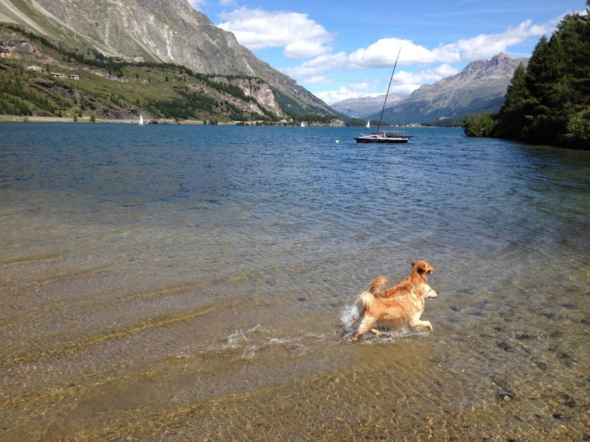 Appartamento Engadin Holidays Ch - Chasa 32 In Guarda Esterno foto